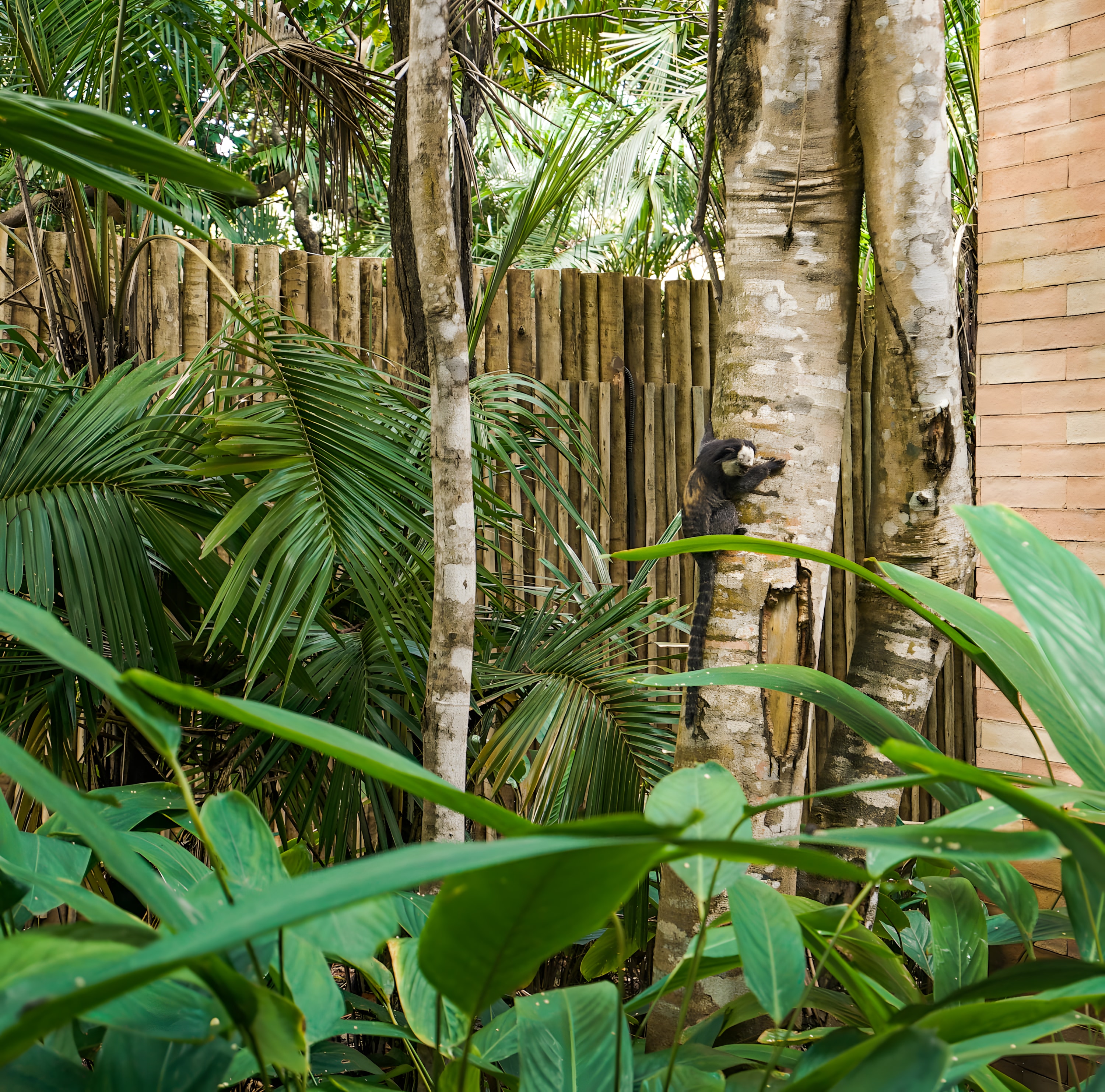 Mata Atlântica preservada da reserva